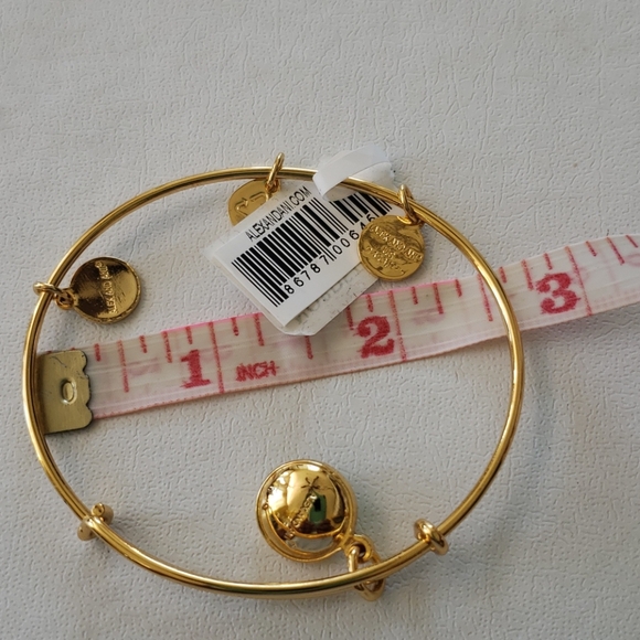ALEX AND ANI bangle - Picture 4 of 6